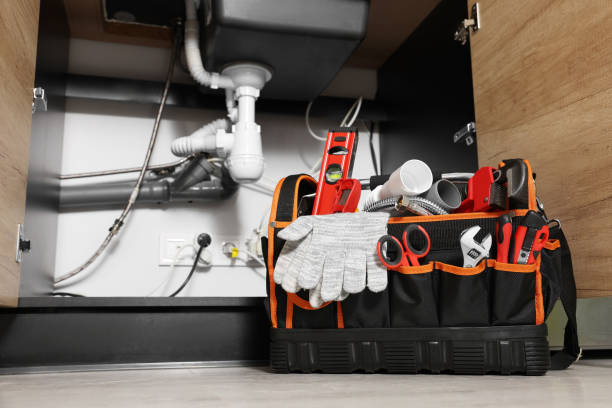 Best Plumbing Inspection Services  in Crosby, MN
